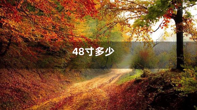 48寸多少