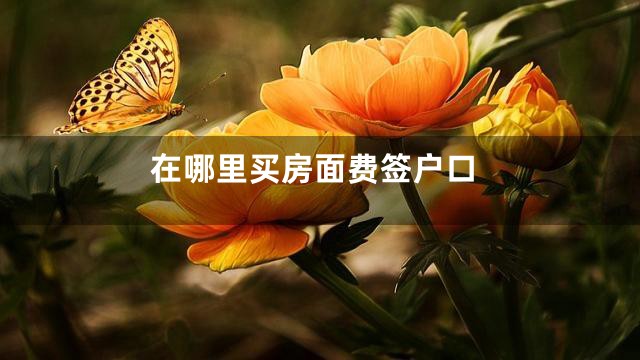在哪里买房面费签户口