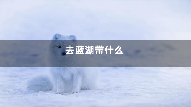 去蓝湖带什么