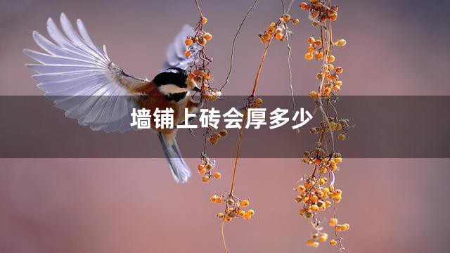 墙铺上砖会厚多少