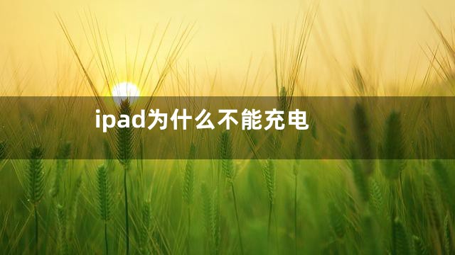 ipad为什么不能充电
