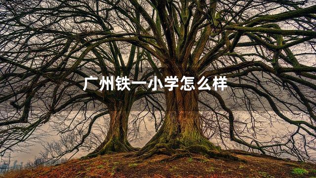 广州铁一小学怎么样