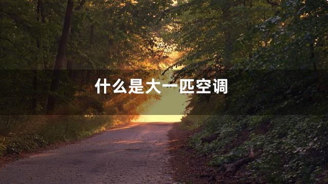 什么是大一匹空调