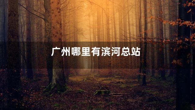 广州哪里有滨河总站