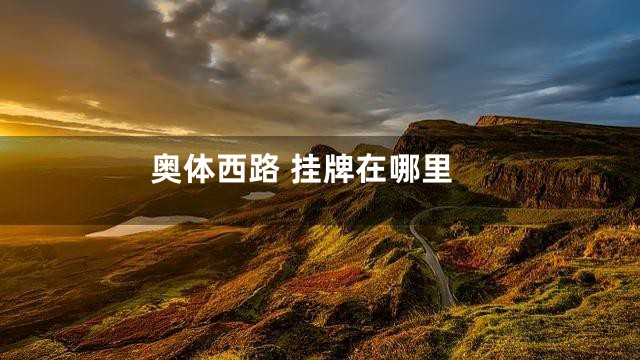 奥体西路 挂牌在哪里