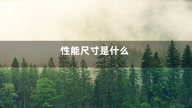 性能尺寸是什么