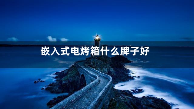 嵌入式电烤箱什么牌子好