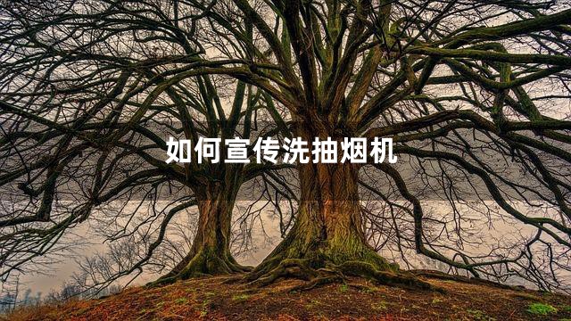 如何宣传洗抽烟机