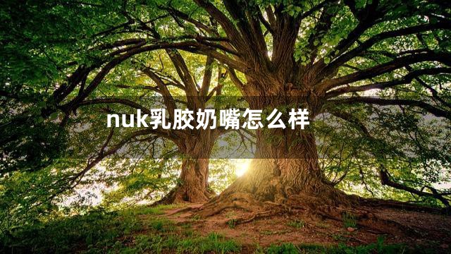 nuk乳胶奶嘴怎么样