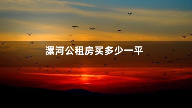 漯河公租房买多少一平