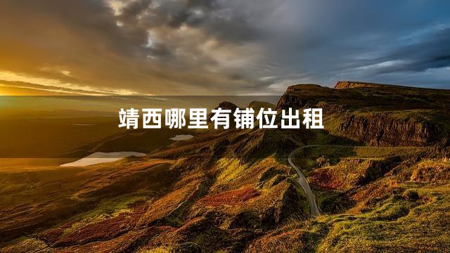 靖西哪里有铺位出租