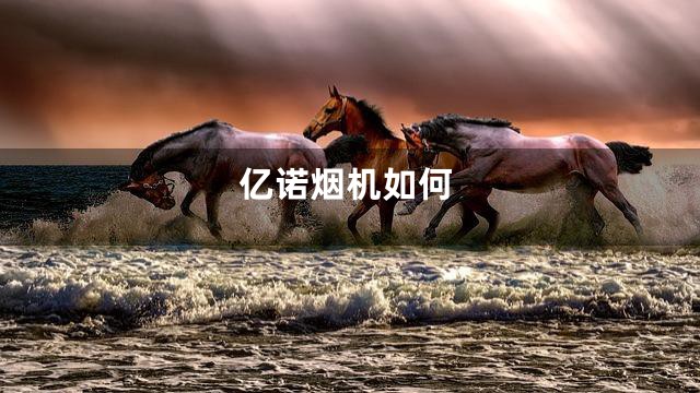亿诺烟机如何