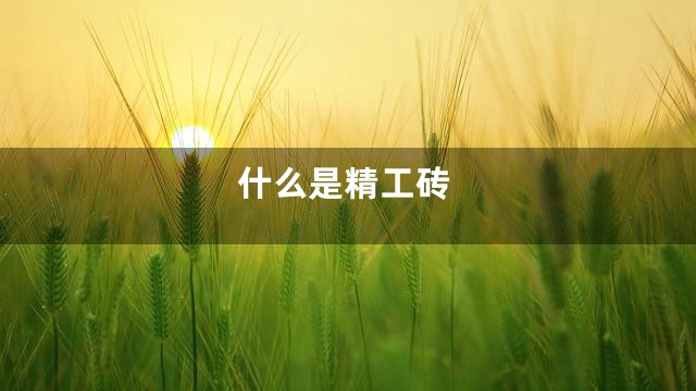 什么是精工砖