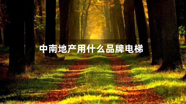 中南地产用什么品牌电梯