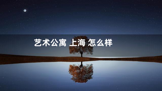 艺术公寓 上海 怎么样