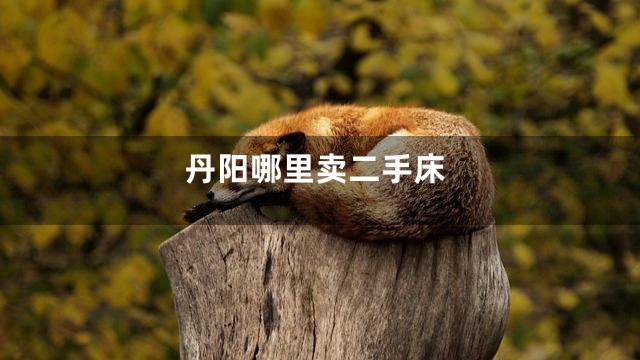 丹阳哪里卖二手床