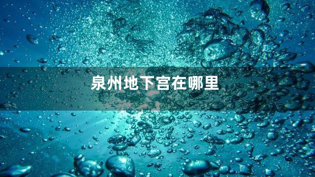泉州地下宫在哪里