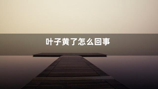 叶子黄了怎么回事