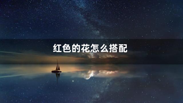 红色的花怎么搭配