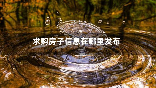 求购房子信息在哪里发布