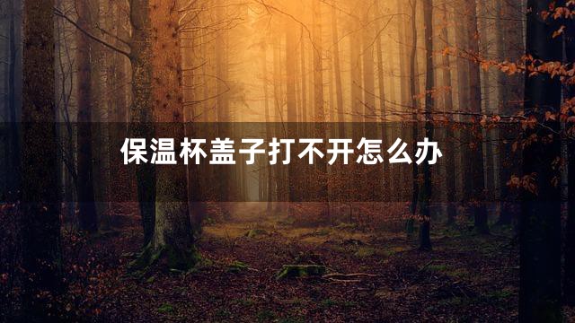 保温杯盖子打不开怎么办