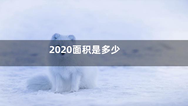 2020面积是多少