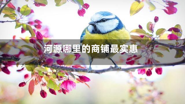 河源哪里的商铺最实惠