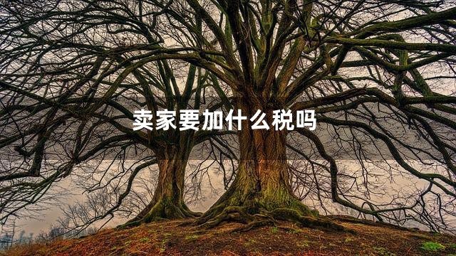 卖家要加什么税吗