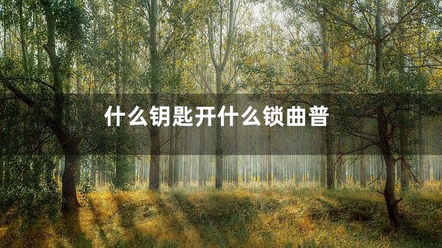 什么钥匙开什么锁曲普