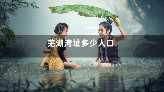 芜湖湾址多少人口