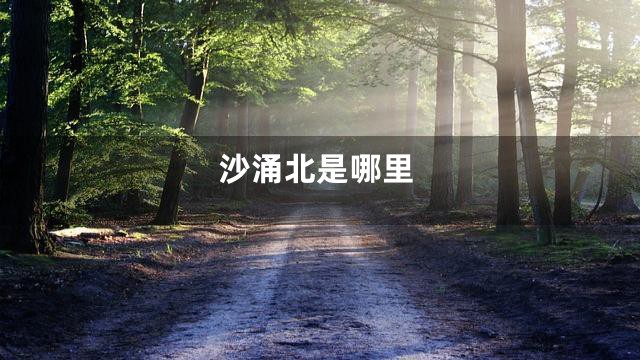 沙涌北是哪里