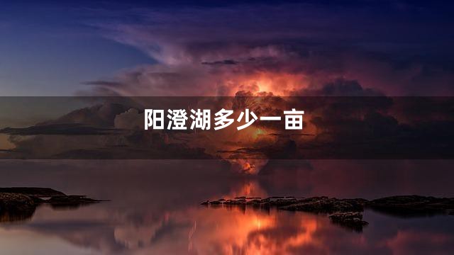 阳澄湖多少一亩