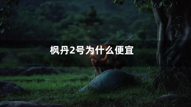 枫丹2号为什么便宜