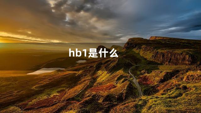 hb1是什么