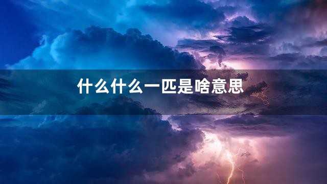 什么什么一匹是啥意思