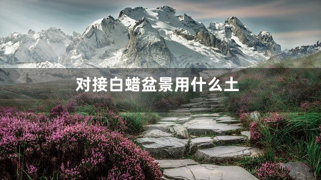 对接白蜡盆景用什么土