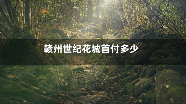 赣州世纪花城首付多少
