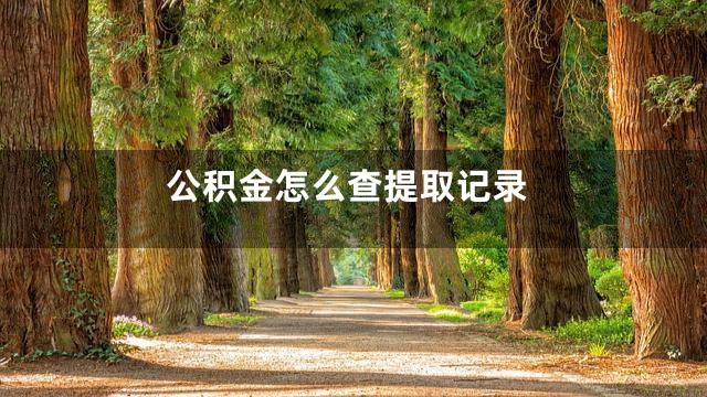 公积金怎么查提取记录