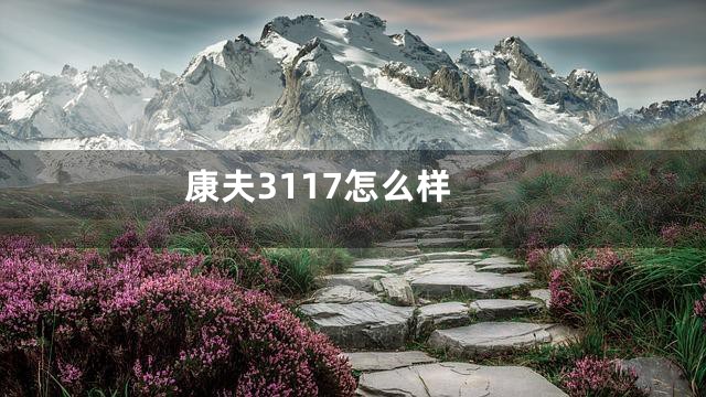 康夫3117怎么样