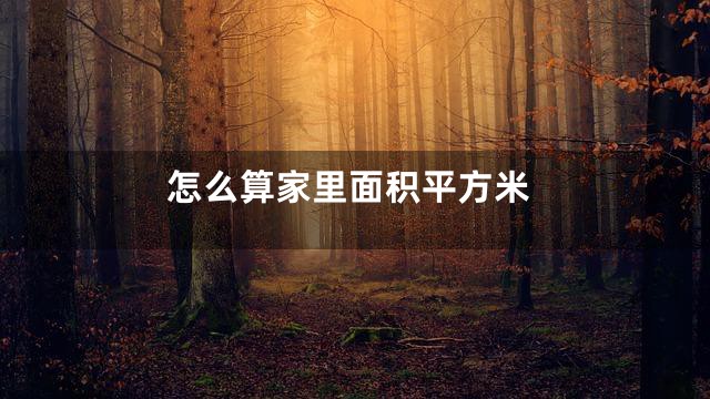 怎么算家里面积平方米