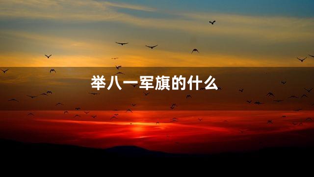 举八一军旗的什么