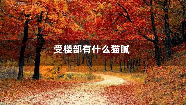 受楼部有什么猫腻