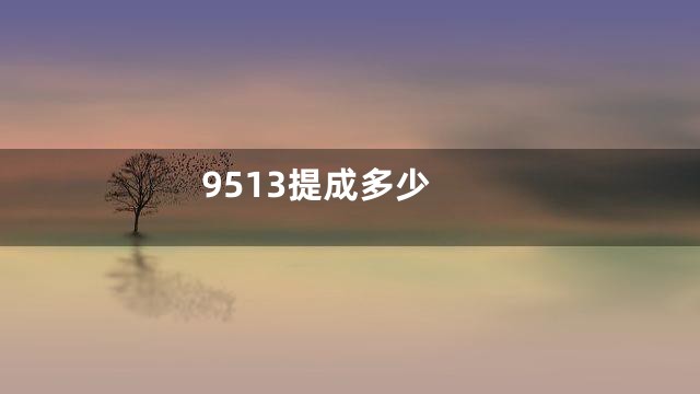 9513提成多少