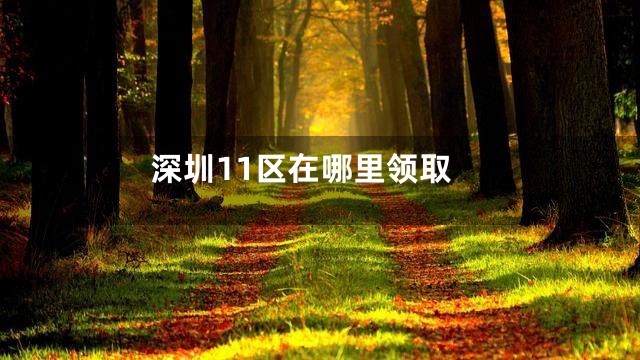 深圳11区在哪里领取