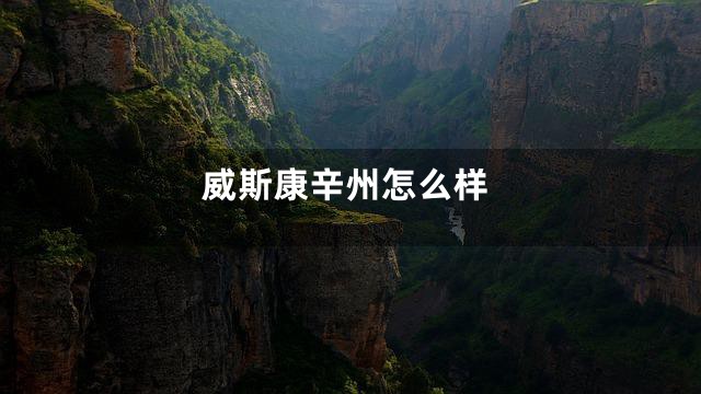 威斯康辛州怎么样