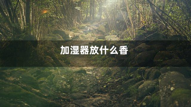 加湿器放什么香