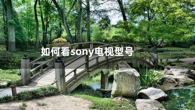 如何看sony电视型号