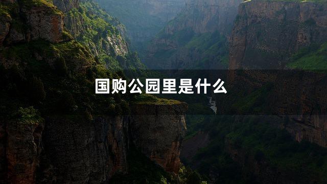 国购公园里是什么