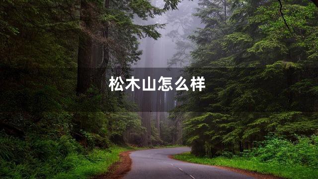 松木山怎么样