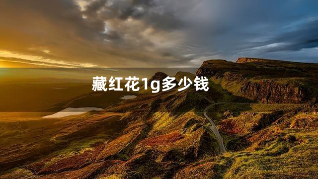 藏红花1g多少钱